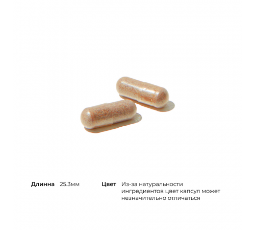 Комплекс Витаминов с антиоксидантами, Advanced Nutrients, Thorne, 240 капсул