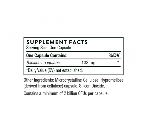 Пробиотик, Bacillus Coagulans, Thorne, 60 вегетарианских капсул