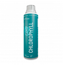 Жидкий Хлорофилл, Chlorophyll, Leaf To Go, 500 мл