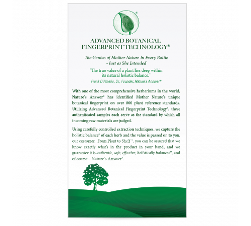 Бакопа, Bacopa Capsules, Nature's Answer, 90 растительных капсул