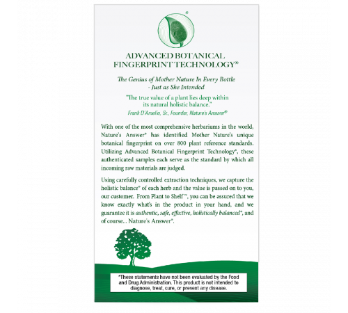 Экстракт кошачего когтя, Cat’s Claw, Nature's Answer, 90 растительных капсул