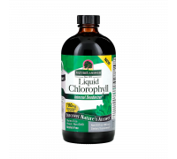 Жидкий хлорофилл, Liquid Chlorophyll Spearmint, Nature's Answer, 480 мл