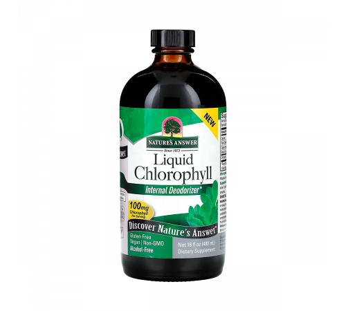 Жидкий хлорофилл, Liquid Chlorophyll Spearmint, Nature's Answer, 480 мл