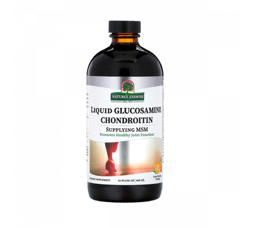 Жидкий глюкозамин и хондроитин, Liquid Glucosamine & Chondroitine, Nature's Answer, 480 мл