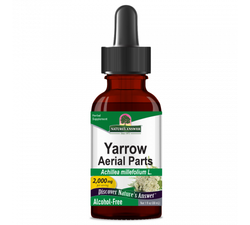 Экстракт цветов тысячелистника, Yarrow Aerial Parts, Nature's Answer, 30 мл