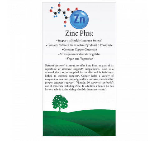Цинк Плюс, Zinc Plus, Nature's Answer, 60 растительных капсул