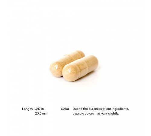 Нейрохондрия, Nerve Support Complex (Neurochondria), Thorne, 90 капсул