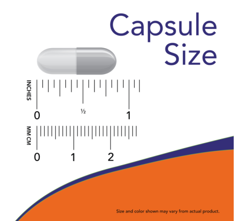 Гинкго билоба, Gingko Biloba, Now Foods 120 mg, 50 вегетарианских капсул