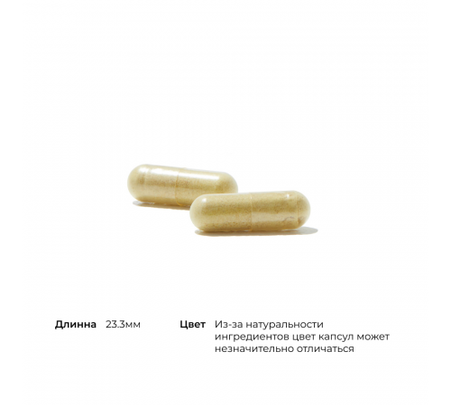 Экстракт листьев оливкового дерева, Olive Leaf Extract, Thorne, 60 капсул