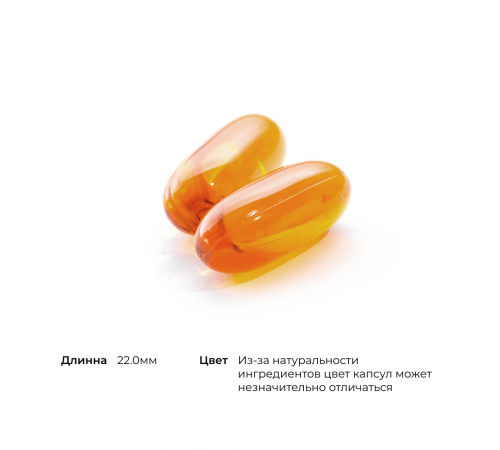 Омега-3 с коэнзимом Q10, Omega-3 with CoQ10, Thorne Research, 90 желатиновых капсул