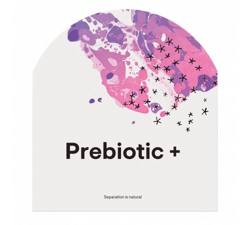 Пребиотики со вкусом граната и ягод, Prebiotic+, Thorne Research, 30 растворимых дисков