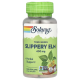 Красный вяз, Solaray Slippery Elm, 400 мг, 100 вегетарианских капсул