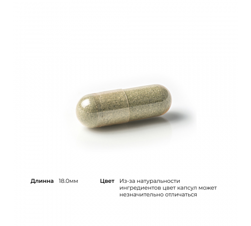 Бисглицинат железа, Iron Bisglycinate, Thorne Research, 60 капсул