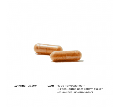 Красный дрожжевой рис, Choleast-900, Thorne, 120 капсул