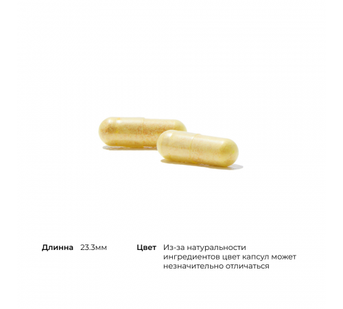 Силимарин, Артишок, Куркума, S.A.T. комплекс, Thorne, 60 капсул