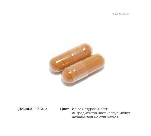 Комплекс витаминов и минералов, Multi-Vitamin Elite, Thorne, 180 капсул (2 упаковки по 90 капсул)