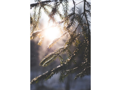 Почему зимой так сложно справляться с холодом?