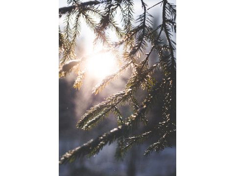 Почему зимой так сложно справляться с холодом?