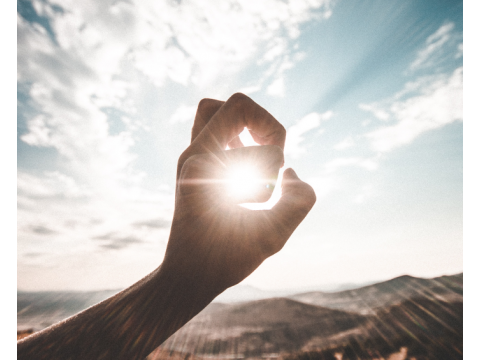 Витамин Д из солнечного света. В чем секрет